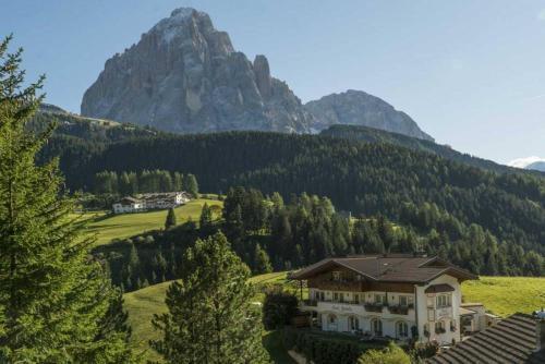 Hotel Rodella 4*